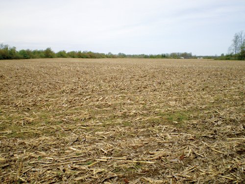 Property photo 3 - 160 Acres in 4 Tracts - Building Potential and Cropland